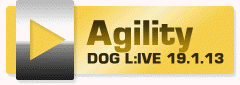 AGI TURNIER DogLive 19.01.2013