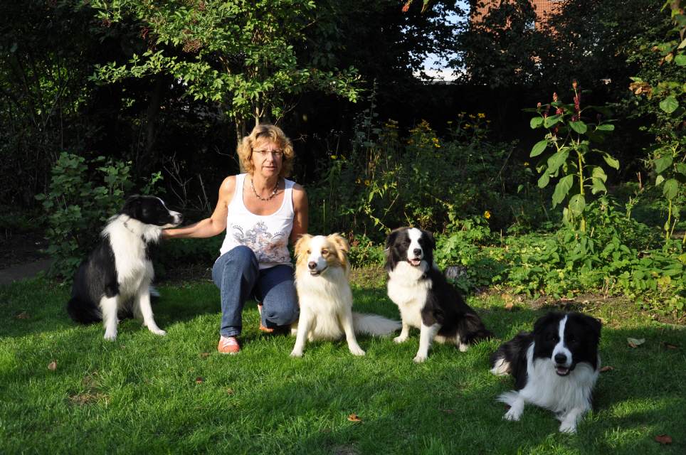 AJ / Dreamer / Austin / Aurum